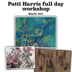 May 20, 2017 Patti Harris Full Day Workshop