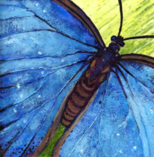Beautiful Butterflies with Catherine Brassard......Members Only Morning Workshop