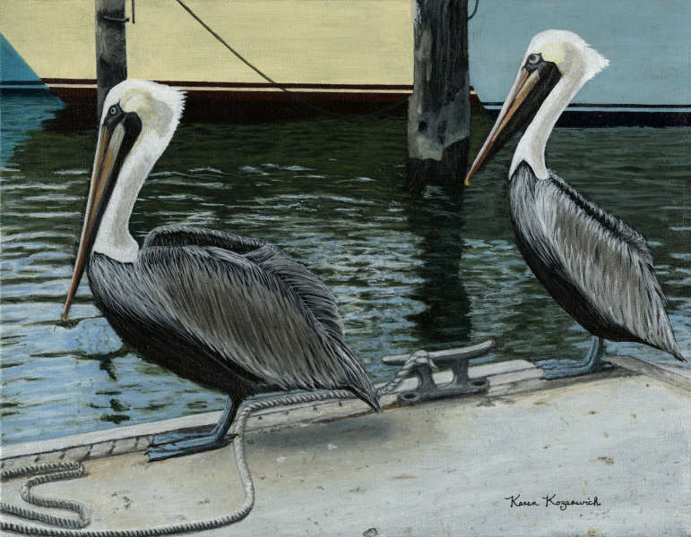 Pelican Friends