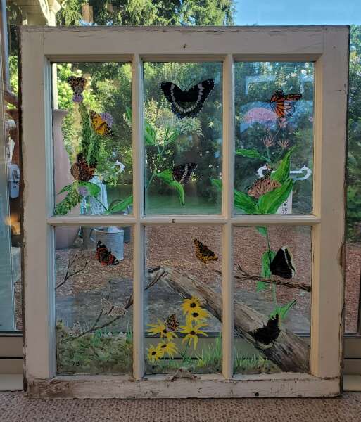 Ontario Butterflies window