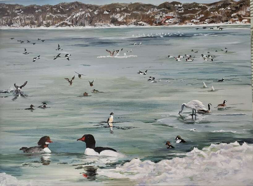 Winter Birds on the Niagara River