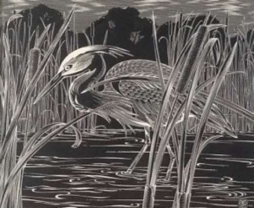 Scratchboard by Artist Tony Smith......Morning Workshop - Members Only