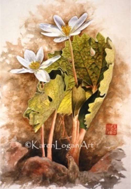 Botanicals in Chinese Painting with Karen Logan......Members Only Morning Workshop